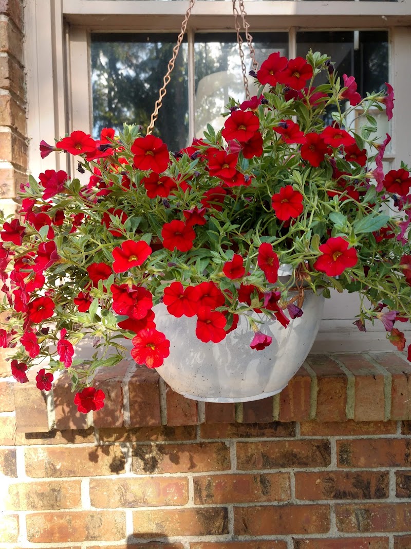 John's Lawn & Garden Center