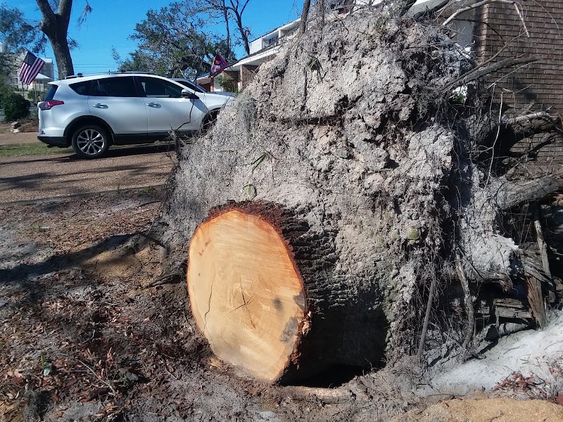 On Time Stumps and Outdoors - Columbus/Phenix City