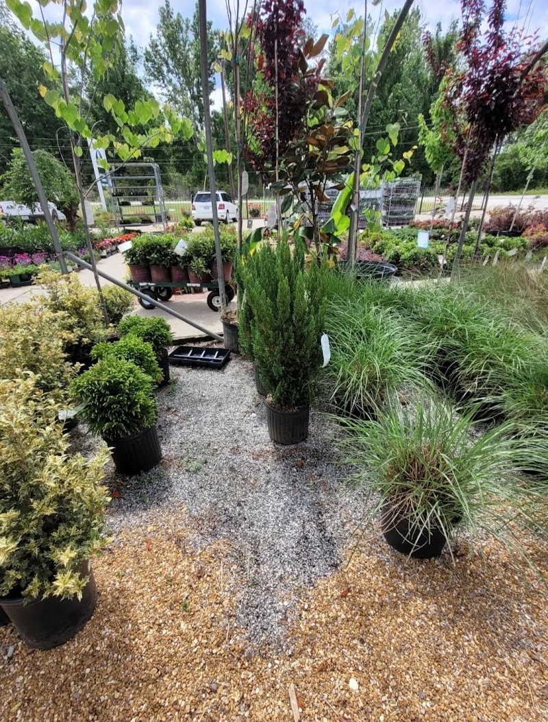 Seasonal Concepts Lawn & Landscaping