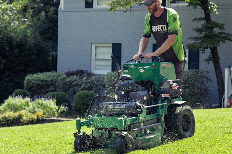 Trifecta Landscaping photo 3