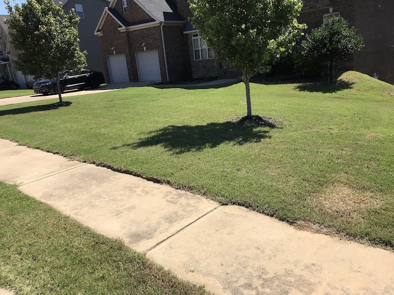 Tripsansky's landscaping