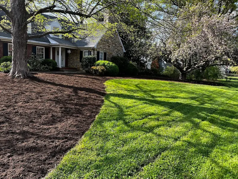 Roels Enterprise and Landscaping LLC