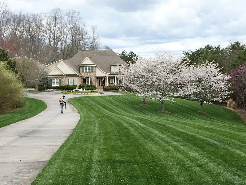 New Garden Landscaping & Nursery