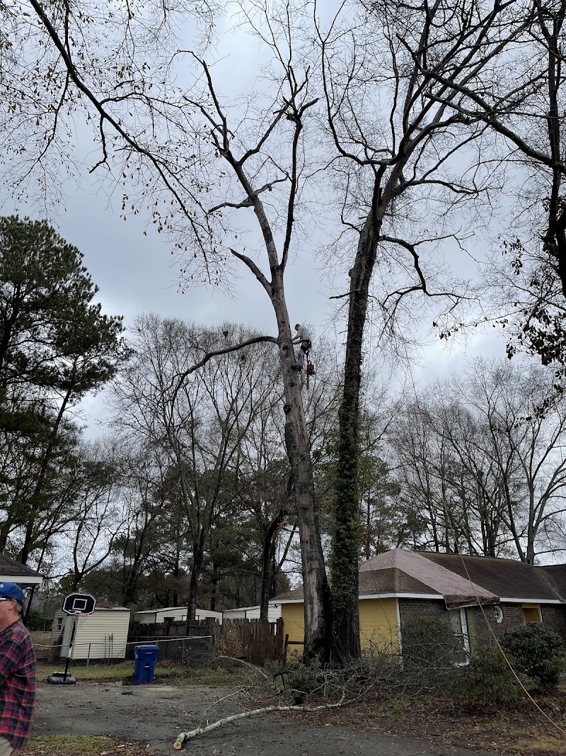 Woodland Tree Service